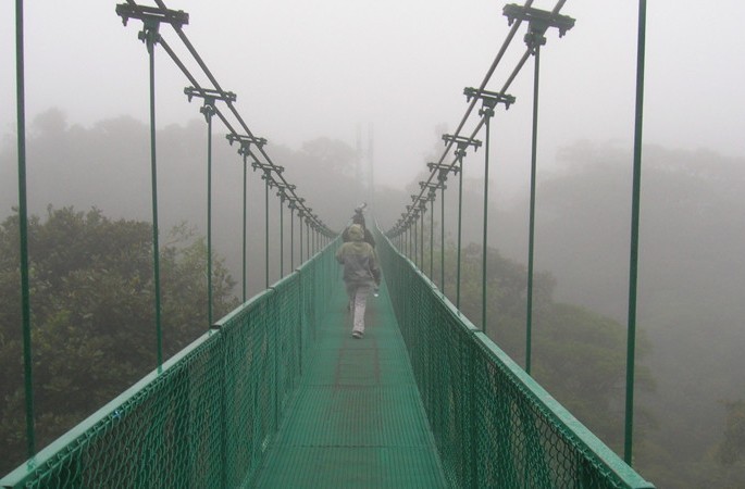 Monteverde Cloud Forest